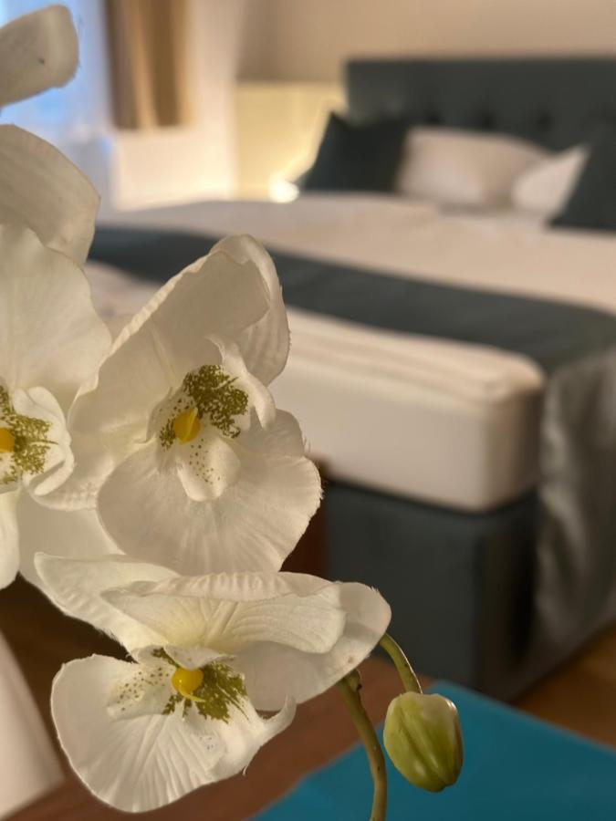 Home Sweet Apartments - A Cozy Welcome Vienne Extérieur photo